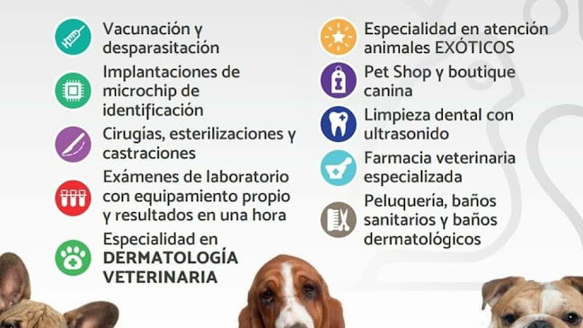 Clínica Veterinaria MUNDO ANIMAL OSORNO