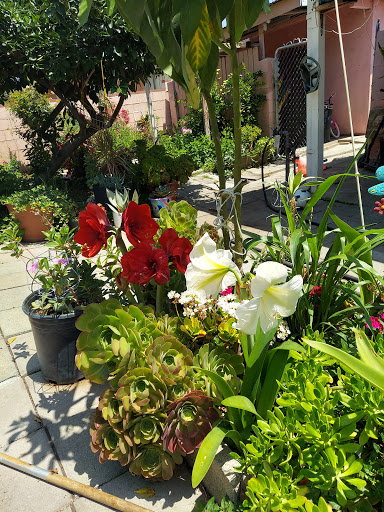 Supermarket «Stater Bros. Markets», reviews and photos, 1023 N Grand Ave, Covina, CA 91724, USA