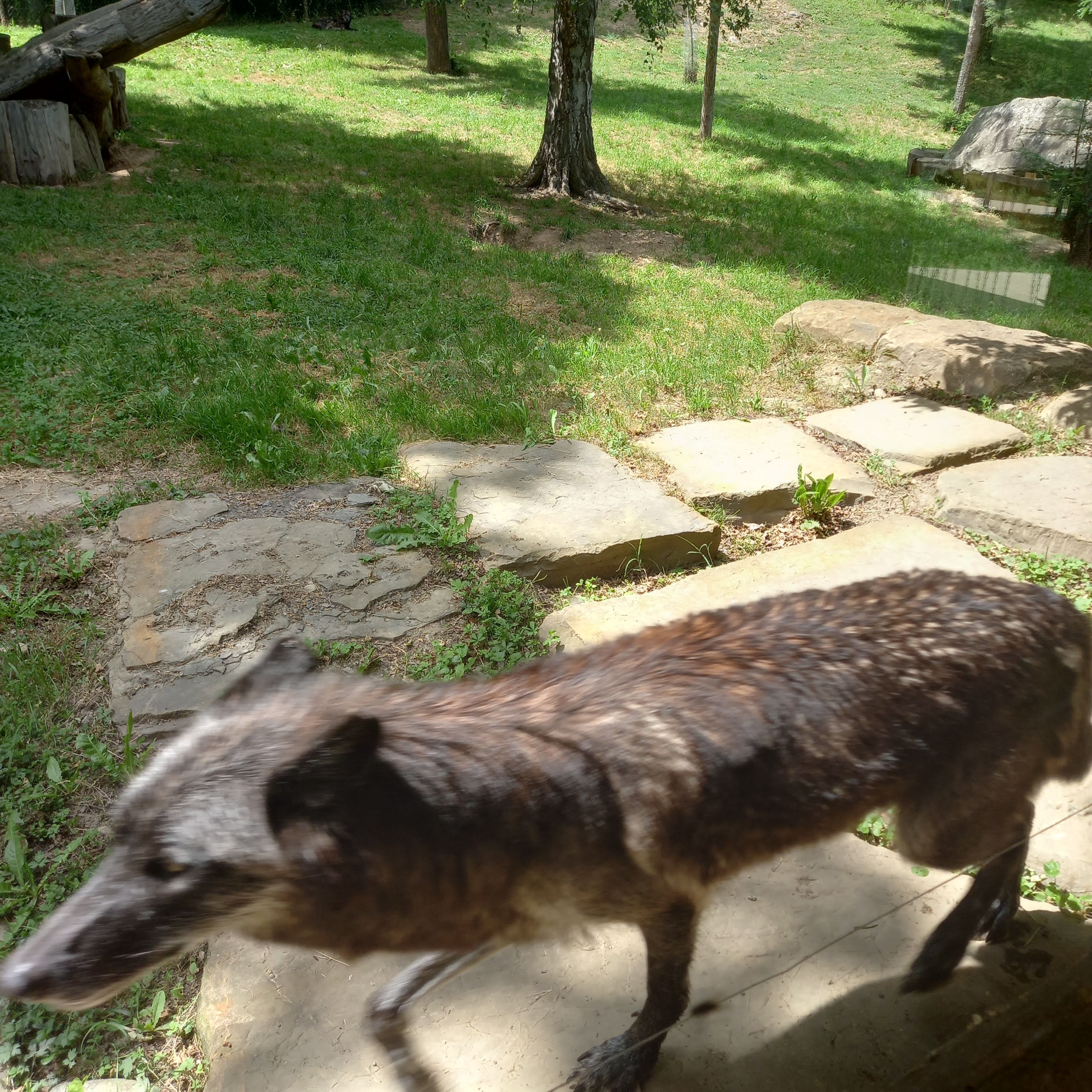 Photo n° 19 de l'avis de Imelda.i fait le 24/08/2019 à 20:04