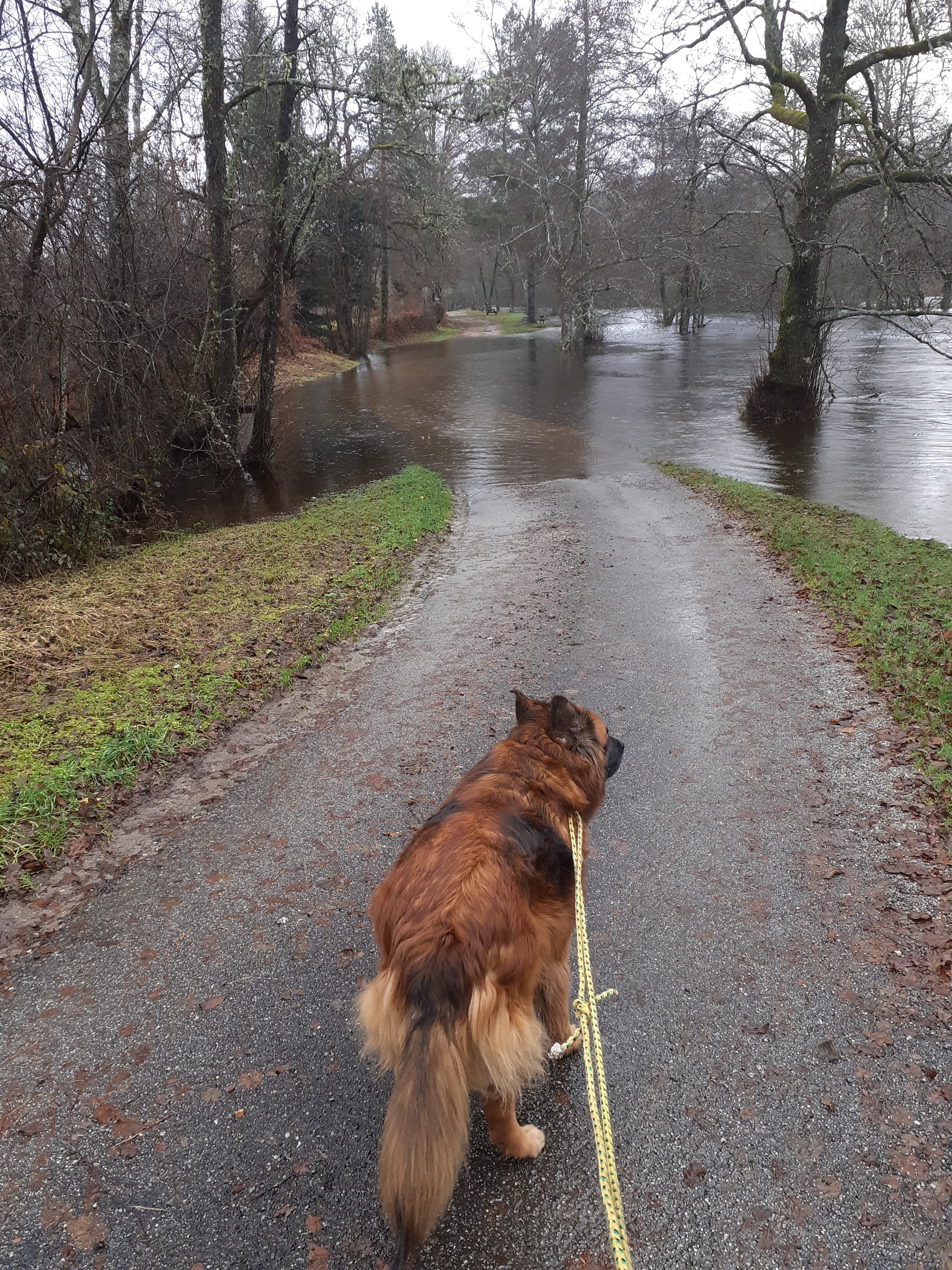 Photo n° 1 de l'avis de Yves.n fait le 15/12/2023 à 11:21