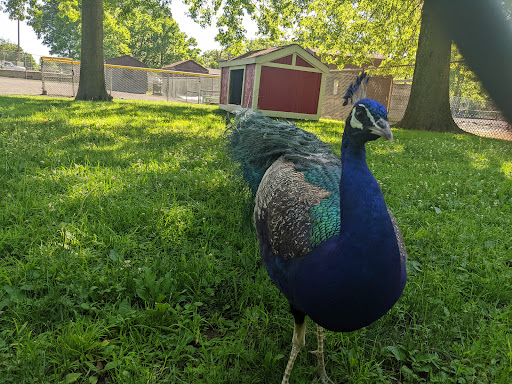 Park «Merrill Park», reviews and photos, Fairview Ave, Colonia, NJ 07067, USA