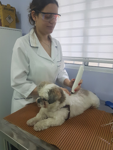 IntegrativaPet Clínica Veterinária em São Paulo - SP