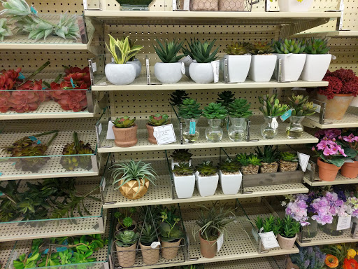 Craft Store «Hobby Lobby», reviews and photos, 6743 Transit Rd, Buffalo, NY 14221, USA