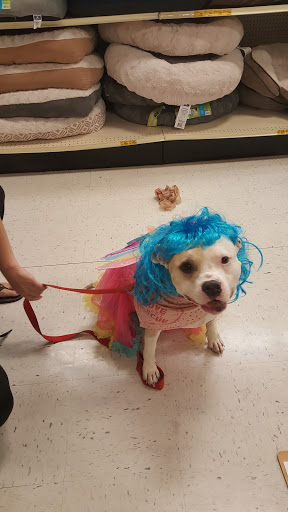 Pet Supply Store «PetSmart», reviews and photos, 1705 N Bechtle Ave, Springfield, OH 45504, USA