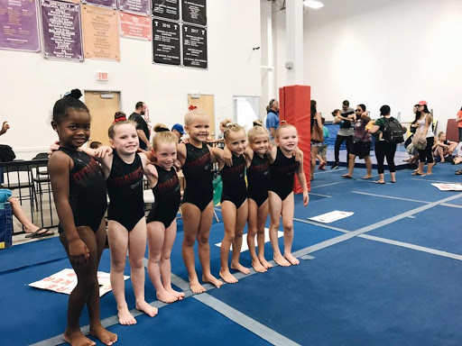 Gymnastics Center «Arizona Dynamics Gymnastics», reviews and photos, 2450 E Germann Rd #17, Chandler, AZ 85286, USA