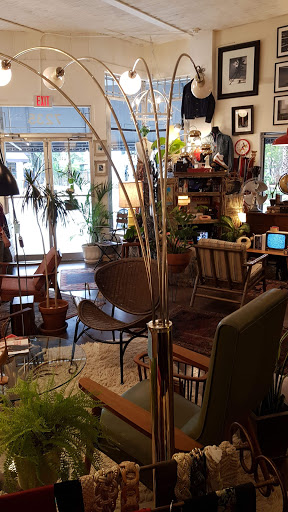 Vintage Clothing Store «Fly Boutique», reviews and photos, 7235 Biscayne Blvd, Miami, FL 33138, USA