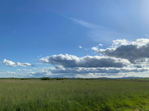 Auto Insurance Agency «State Farm Insurance: Mitch Ratzlaff», reviews and photos