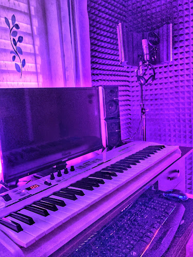 Opinii despre Ianis Ciac Music Production în Hațeg - Magazin de muzică