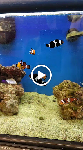 Pet Supply Store «Petco Animal Supplies», reviews and photos, 12163 Sheridan Blvd, Broomfield, CO 80020, USA