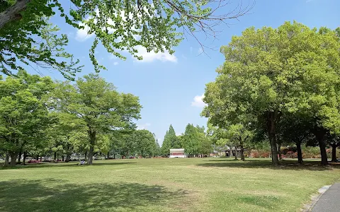 つつじが岡公園 大芝生広場 image