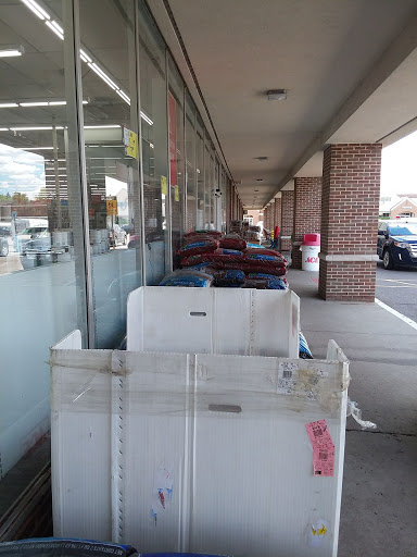 Hardware Store «Great Lakes Ace Hardware», reviews and photos, 44441 Ann Arbor Rd, Plymouth, MI 48170, USA