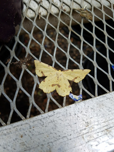 Hardware Store «Ham Lake Hardware Hank», reviews and photos, 17426 MN-65, Ham Lake, MN 55304, USA