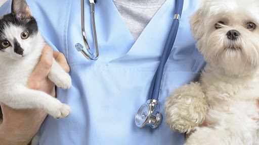 Palm Beach Animal Hospital image