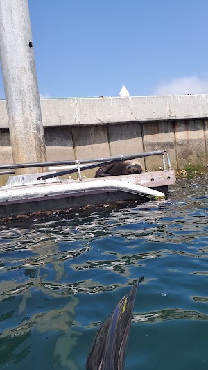 Seaside Lagoon - photo 48