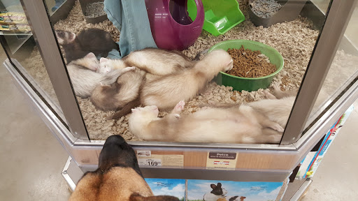 Pet Supply Store «Petco Animal Supplies», reviews and photos, 1520 Military Rd #130, Niagara Falls, NY 14304, USA