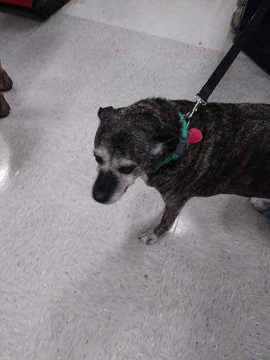 Pet Supply Store «Petco Animal Supplies», reviews and photos, 3731 Gateway Dr, Eau Claire, WI 54701, USA