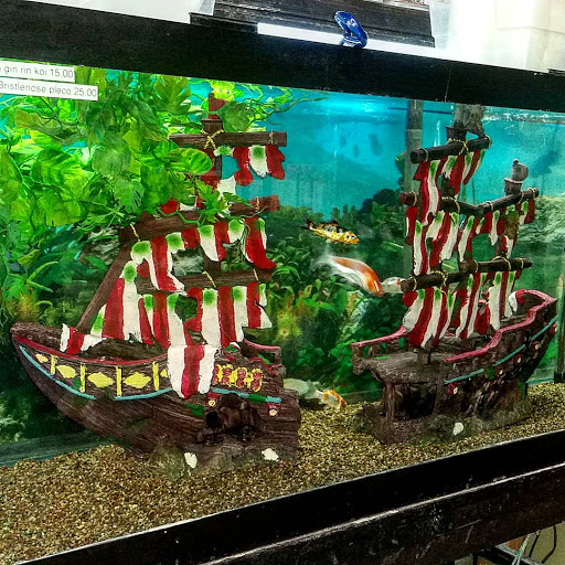 Pet Store «Gills And Thrills Pet Shop», reviews and photos, 204 E 8th St, Lockport, IL 60441, USA