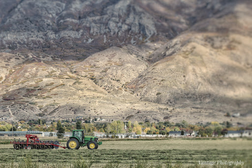 Park «Art Dye», reviews and photos, 550 E 1000 N, American Fork, UT 84003, USA