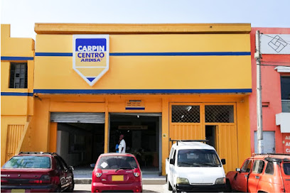 Carpincentro Ardisa Cartagena