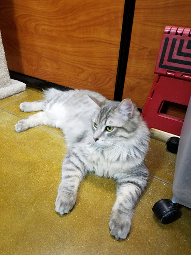 Pet Supply Store «PetSmart», reviews and photos, 2730 Pacific Coast Hwy, Torrance, CA 90505, USA