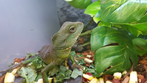 Pet Supply Store «Petco Animal Supplies», reviews and photos, 110 Percival Rd, Columbia, SC 29206, USA