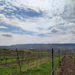 Photo n° 4 de l'avis de Lea.o fait le 28/04/2023 à 08:02 pour Goesel Vincent Eàrl à Dorlisheim