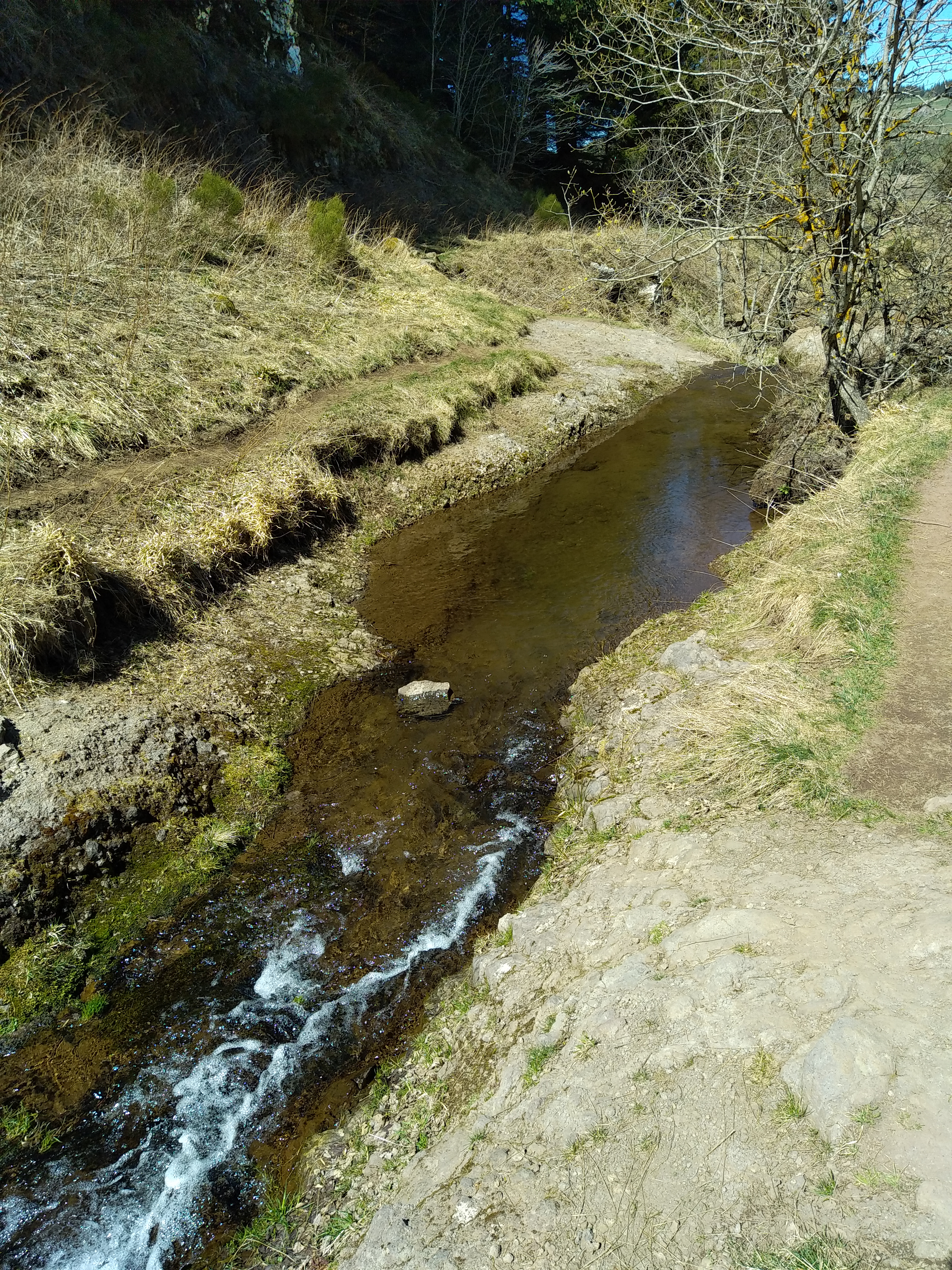 Photo n° 6 de l'avis de Julien.a fait le 17/04/2022 à 17:15
