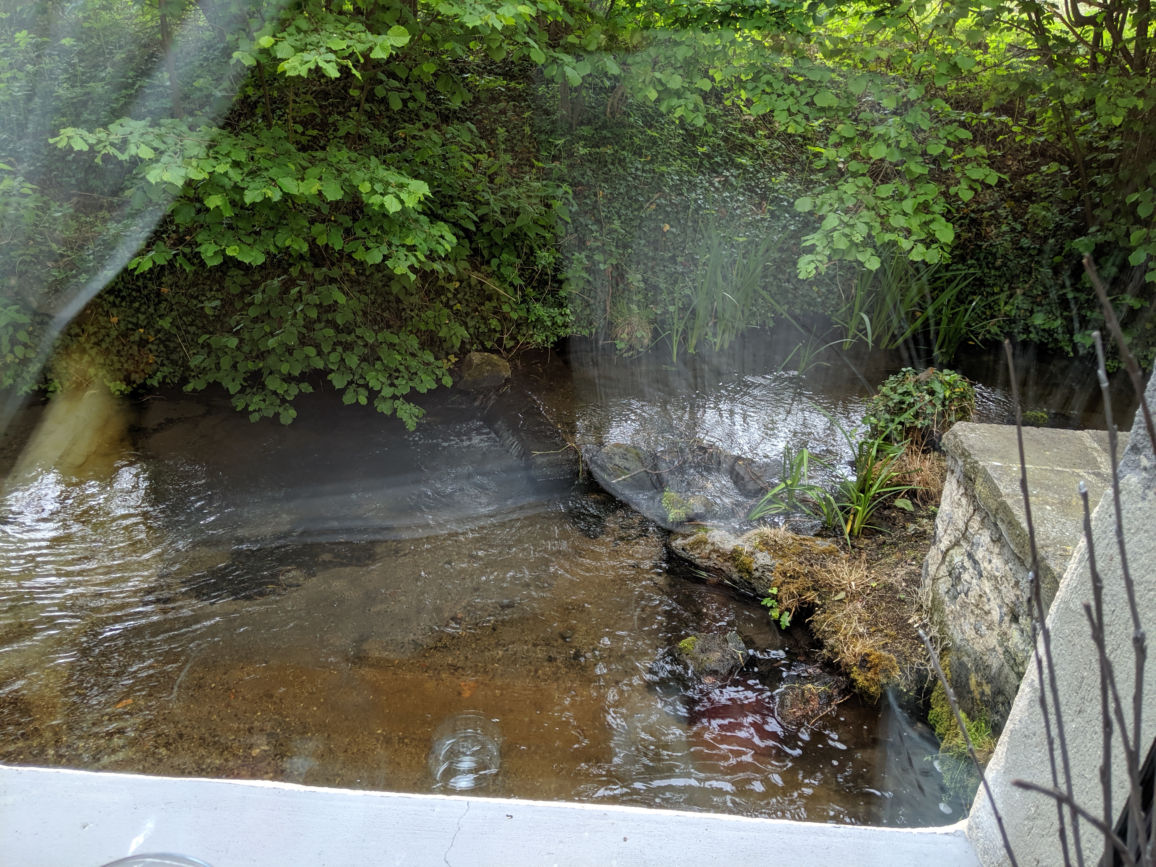 Photo n° 44 de l'avis de olivier.a fait le 19/05/2019 à 14:38