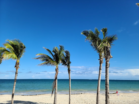 Moon Palace beach