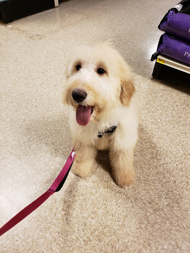 Pet Supply Store «PetSmart», reviews and photos, 2101 Elmwood Ave, Buffalo, NY 14207, USA