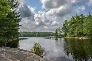 Tower Hill Pond image