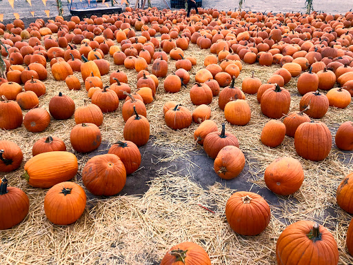 Produce Market «Kuwahara Farms», reviews and photos, 736 12300 S, Draper, UT 84020, USA