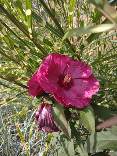 Amusement Park «Canobie Lake Park», reviews and photos, 85 N Policy St, Salem, NH 03079, USA