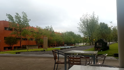 Cafeteria CSAM UNAM Campus Morelia