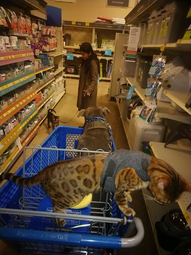 Pet Supply Store «PetSmart», reviews and photos, 12483 Limonite Ave, Mira Loma, CA 91752, USA