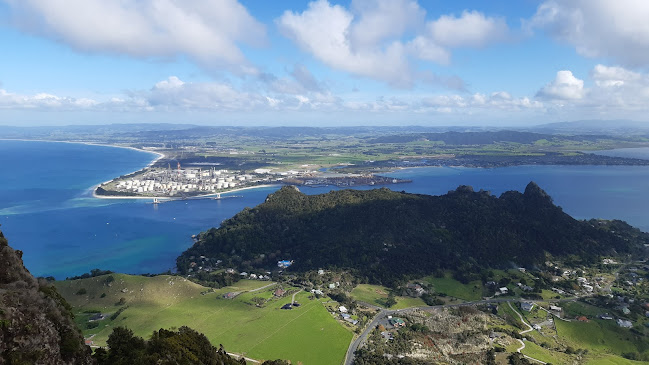 Comments and reviews of Mount Manaia