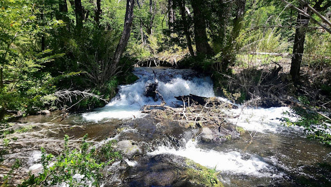 Teléfono de Parque Nacional Villarrica