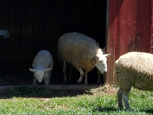 Farm «Clarks Elioak Farm LLC», reviews and photos, 10500 Clarksville Pike, Ellicott City, MD 21042, USA