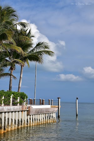 90 Miles Cuba - photo 87