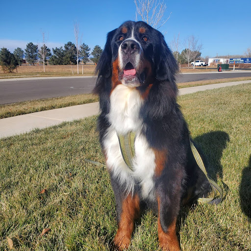 Boyd Lake Veterinary Center