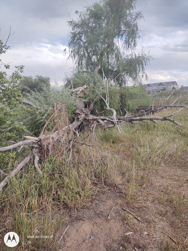 Nature Preserve «Gateway Lakes Natural Area», reviews and photos, 28th Street, Greeley, CO 80634, USA