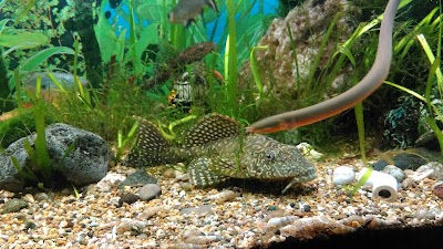 Photos of Under Water World