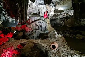 Tetra Cave image