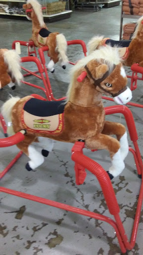 Discount Store «Bargain Hunt», reviews and photos, 1241 N Mt Juliet Rd #106, Mt Juliet, TN 37122, USA