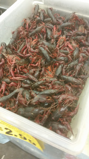 Grocery Store «Fiesta Mart Inc», reviews and photos, 275 NE 28th St, Ft Worth, TX 76106, USA