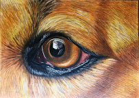 Renaissance Art School - Photo 5 - Car repair in Wheaton, IL, Aurora