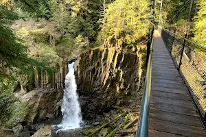 Drift Creek Falls Trail 1378 (Trail Head) image