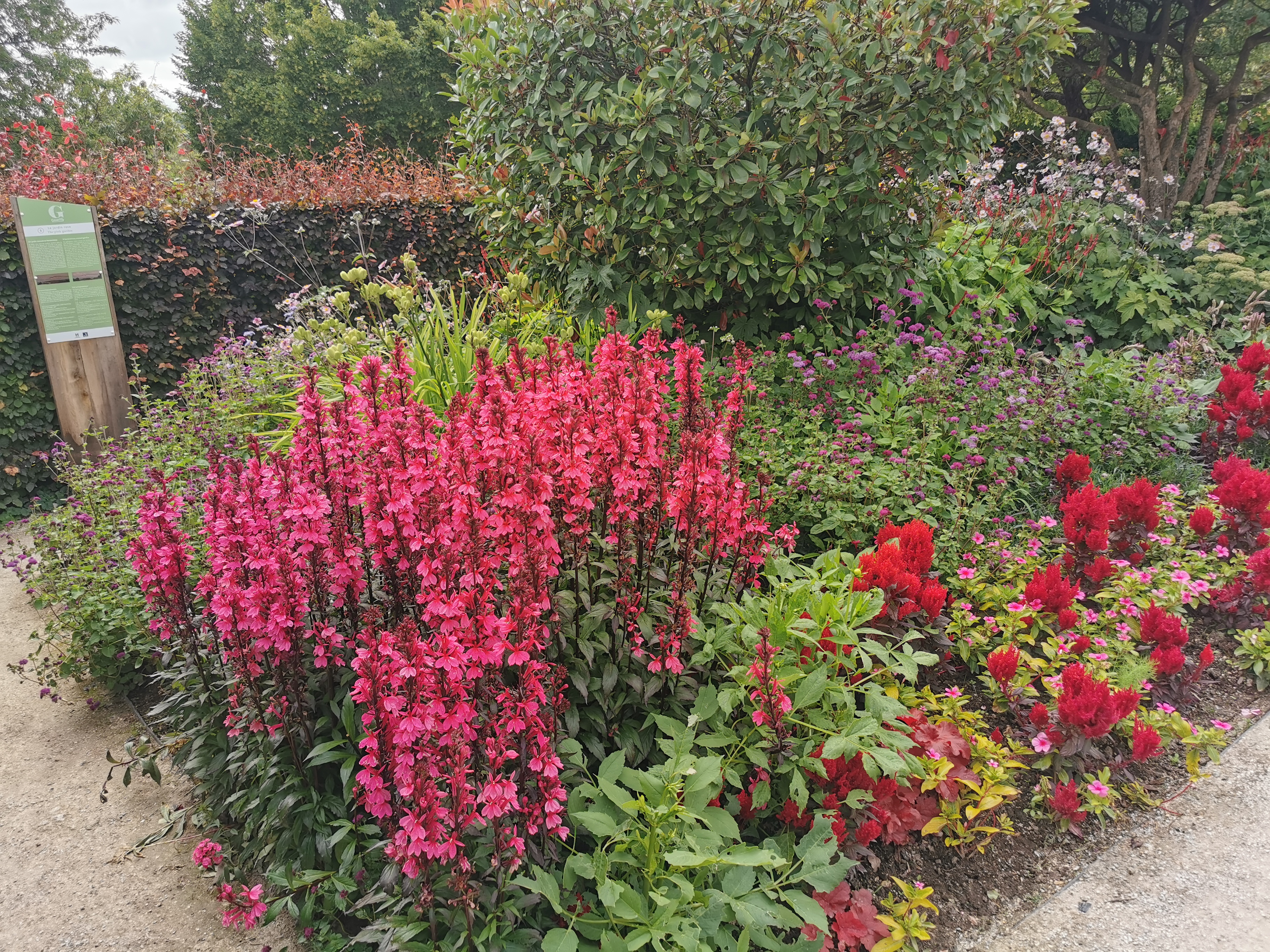 Photo n° 7 de l'avis de Francine.E fait le 27/08/2023 à 20:10