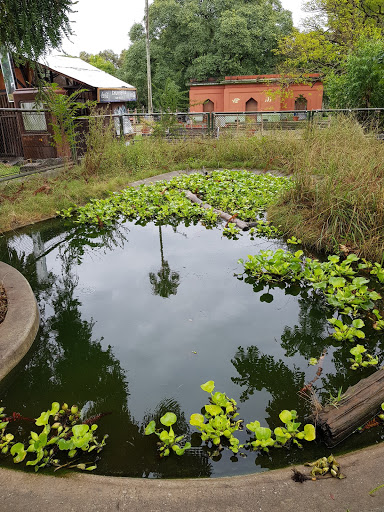 Sea Turtle Center Karumbé