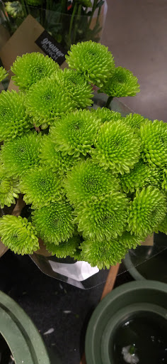 Grocery Store «Albertsons», reviews and photos, 4625 Frankford Rd, Dallas, TX 75287, USA